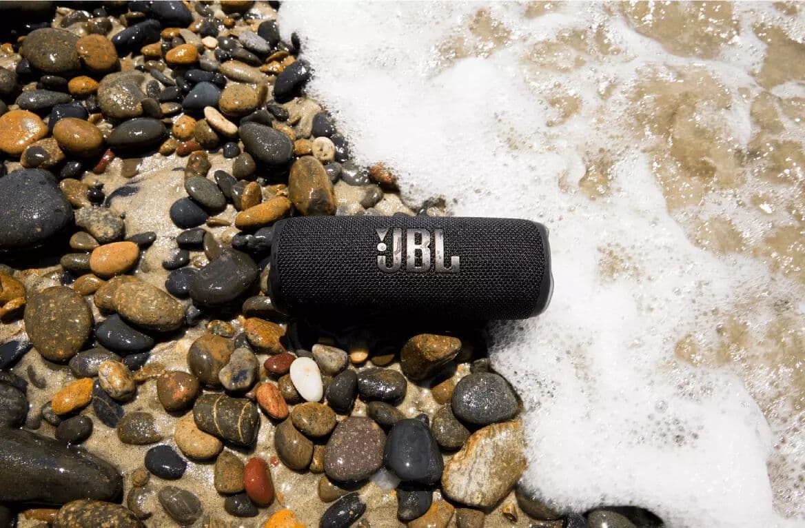 JBL Flip 6